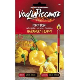 VOGLIA PICCANTE SEMI DI PEPERONCINO PICCANTE HABANERO LEMON VOGLIA PICCANTE SEMI DI PEPERONCINO PICCANTE HABANERO LEMON