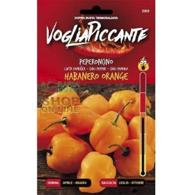 VOGLIA PICCANTE SEMI DI PEPERONCINO PICCANTE HABANERO ORANGE VOGLIA PICCANTE SEMI DI PEPERONCINO PICCANTE HABANERO ORANGE