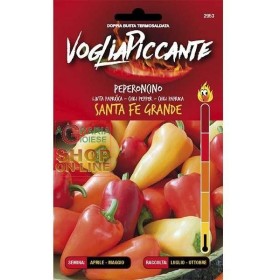 VOGLIA PICCANTE SEMI DI PEPERONCINO PICCANTE SANTA FE GRANDE VOGLIA PICCANTE SEMI DI PEPERONCINO PICCANTE SANTA FE GRANDE