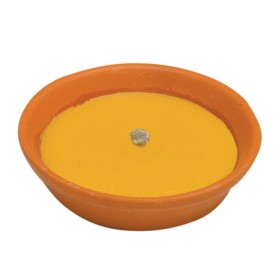 CITRONELLA IN COCCIO ANTIVENTO CM.14 CITRONELLA IN COCCIO ANTIVENTO CM.14
