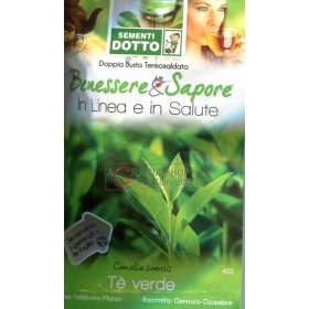 DOTTO BUSTE SEMI DI TE VERDE DOTTO BUSTE SEMI DI TE VERDE
