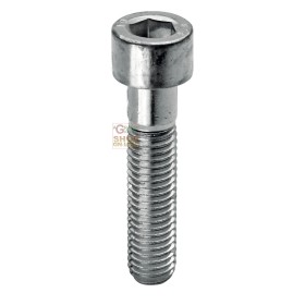 SC VITI TESTA CILINDRICA 8.8 ESAGONO INCASSATO 4X14 PZ. 20 SC VITI TESTA CILINDRICA 8.8 ESAGONO INCASSATO 4X14 PZ. 20