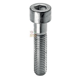 SC VITI TESTA CILINDRICA 8.8 ESAGONO INCASSATO 4X20 PZ. 20 SC VITI TESTA CILINDRICA 8.8 ESAGONO INCASSATO 4X20 PZ. 20