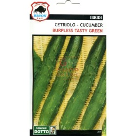 SEMI DI CETRIOLO BURPLESS TASTY GREEN BISON SPECIALITY IBRIDO F1 SEMI DI CETRIOLO BURPLESS TASTY GREEN BISON SPECIALITY IBRIDO F1