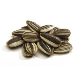 SEMI DI GIRASOLE STRIATO PICCOLO GR. 500 SEMI DI GIRASOLE STRIATO PICCOLO GR. 500