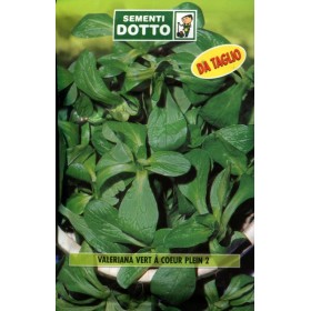 BUSTE DOTTO SEMI DI VALERIANA VERT A COEUR PLEIN BUSTE DOTTO SEMI DI VALERIANA VERT A COEUR PLEIN
