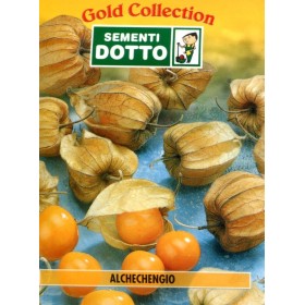 DOTTO BUSTE SEMI DI ALCHECHENGIO DOTTO BUSTE SEMI DI ALCHECHENGIO