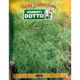 DOTTO BUSTE SEMI DI ANETO DILL DOTTO BUSTE SEMI DI ANETO DILL