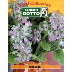 DOTTO BUSTE SEMI DI BORRAGINE DOTTO BUSTE SEMI DI BORRAGINE