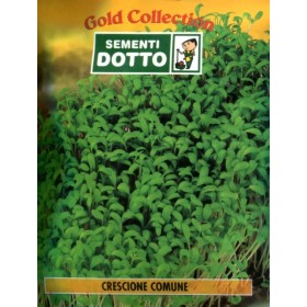 DOTTO BUSTE SEMI DI CRESCIONE COMUNE DOTTO BUSTE SEMI DI CRESCIONE COMUNE