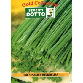 DOTTO BUSTE SEMI DI ERBA CIPOLLINA DOTTO BUSTE SEMI DI ERBA CIPOLLINA