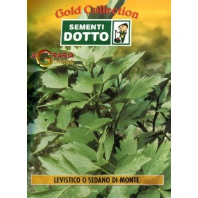 DOTTO BUSTE SEMI DI LEVISCO O SEDANO DI MONTE DOTTO BUSTE SEMI DI LEVISCO O SEDANO DI MONTE