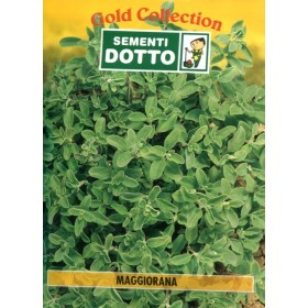 DOTTO BUSTE SEMI DI MAGGIORANA DOTTO BUSTE SEMI DI MAGGIORANA