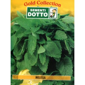 DOTTO BUSTE SEMI DI MELISSA DOTTO BUSTE SEMI DI MELISSA