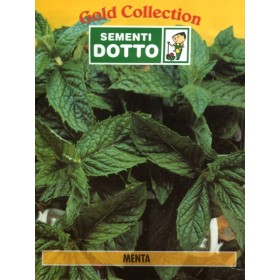 DOTTO BUSTE SEMI DI MENTA DOTTO BUSTE SEMI DI MENTA