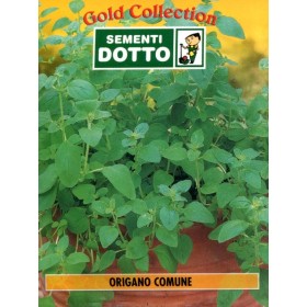 DOTTO BUSTE SEMI DI ORIGANO COMUNE DOTTO BUSTE SEMI DI ORIGANO COMUNE