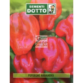 DOTTO BUSTE SEMI DI PEPERONCINO HABANERO DOTTO BUSTE SEMI DI PEPERONCINO HABANERO