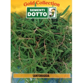 DOTTO BUSTE SEMI DI SANTOREGGIA DOTTO BUSTE SEMI DI SANTOREGGIA