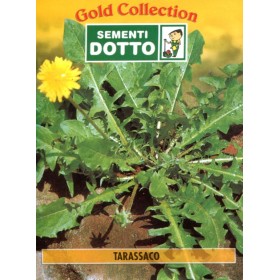 DOTTO BUSTE SEMI DI TARASSICO DOTTO BUSTE SEMI DI TARASSICO