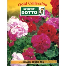 DOTTO BUSTE SEMI GERANIO ZONALE IN MIX DOTTO BUSTE SEMI GERANIO ZONALE IN MIX