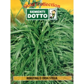 DOTTO BUSTE SEMI MINUNTINA ERBA STELLA DOTTO BUSTE SEMI MINUNTINA ERBA STELLA