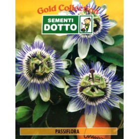 DOTTO BUSTE SEMI PASSIFLORA COERULEA DOTTO BUSTE SEMI PASSIFLORA COERULEA