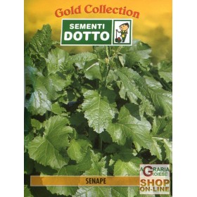 DOTTO SEMI DI SENAPE DOTTO SEMI DI SENAPE
