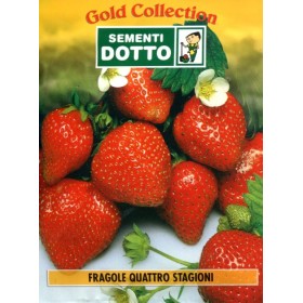 SEMI DI FRAGOLE QUATTRO STAGIONI RIFIORENTI SEMI DI FRAGOLE QUATTRO STAGIONI RIFIORENTI