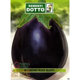 SEMI DI MELENZANA OVALE NERA BLACK BEAUTY SEMI DI MELENZANA OVALE NERA BLACK BEAUTY