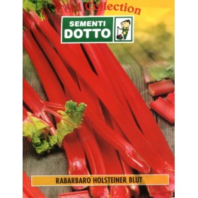 SEMI DI RABARBARO HOLSTEINER SEMI DI RABARBARO HOLSTEINER
