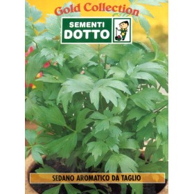 SEMI DI SEDANO AROMATICO DA TAGLIO SEMI DI SEDANO AROMATICO DA TAGLIO