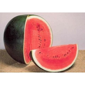 SEMI DI ANGURIA SUGAR BABY TONDA SWEET WATERMELON WASSERMELOLE SEMI DI ANGURIA SUGAR BABY TONDA SWEET WATERMELON WASSERMELOLE