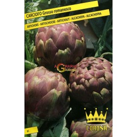 SEMI DI CARCIOFO GROSSO ROMANESCO SEMI DI CARCIOFO GROSSO ROMANESCO