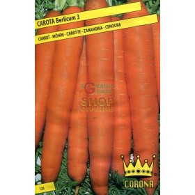 SEMI DI CAROTA BERLICUM 3 SEMI DI CAROTA BERLICUM 3