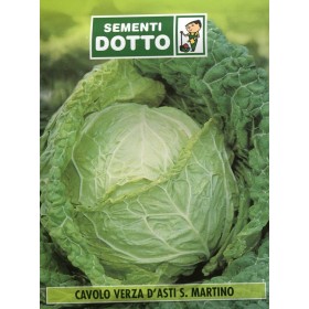 SEMI DI CAVOLO VERZA D ASTI S. MARTINO SEMI DI CAVOLO VERZA D ASTI S. MARTINO