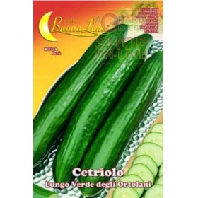 SEMI DI CETRIOLO LUNGO VERDE DEGLI ORTOLANI SEMI DI CETRIOLO LUNGO VERDE DEGLI ORTOLANI