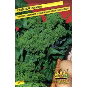 SEMI DI CIME DI RAPA 40 GG. SEMI DI CIME DI RAPA 40 GG.