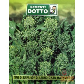 SEMI DI CIME DI RAPA 60 GG. DI SARNO O SAN MARZANO SEMI DI CIME DI RAPA 60 GG. DI SARNO O SAN MARZANO
