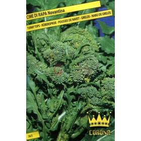 SEMI DI CIME DI RAPA NOVANTINA 90 GIORNI IN BUSTINA SEMI DI CIME DI RAPA NOVANTINA 90 GIORNI IN BUSTINA