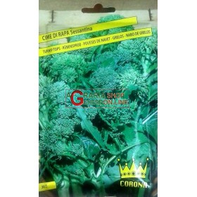 SEMI DI CIME DI RAPA SESSANTINA 60 GIORNI IN BUSTINA SEMI DI CIME DI RAPA SESSANTINA 60 GIORNI IN BUSTINA