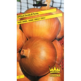 SEMI DI CIPOLLA DORATA DI PARMA SEMI DI CIPOLLA DORATA DI PARMA
