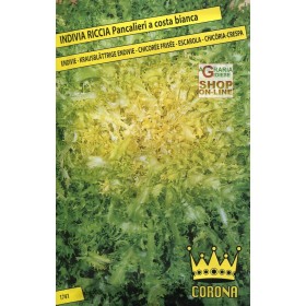 SEMI DI LATTUGA RICCIA PANCALIERI A COSTA BIANCA SEMI DI LATTUGA RICCIA PANCALIERI A COSTA BIANCA