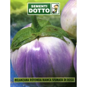 SEMI DI MELANZANA ROTONDA BIANCA SFUMATA DI ROSA SEMI DI MELANZANA ROTONDA BIANCA SFUMATA DI ROSA
