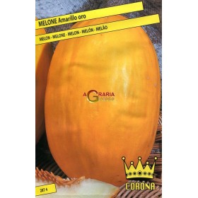 SEMI DI MELONE AMARILLO ORO SEMI DI MELONE AMARILLO ORO