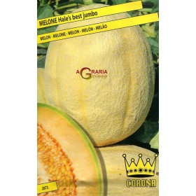 SEMI DI MELONE J. HALES BEST JUMBO SEMI DI MELONE J. HALES BEST JUMBO