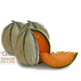 SEMI DI MELONE RETATO DEGLI ORTOLANI SEMI DI MELONE RETATO DEGLI ORTOLANI