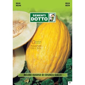 SEMI DI MELONE RUGOSO DI COSENZA GIALLO SEMI DI MELONE RUGOSO DI COSENZA GIALLO