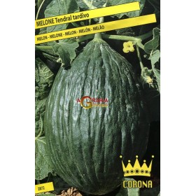 SEMI DI MELONE TENDRAL TARDIVO SEMI DI MELONE TENDRAL TARDIVO