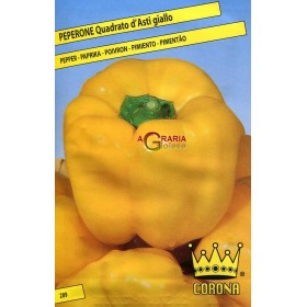 SEMI DI PEPERONE QUADRATO D ASTI GIALLO SEMI DI PEPERONE QUADRATO D ASTI GIALLO