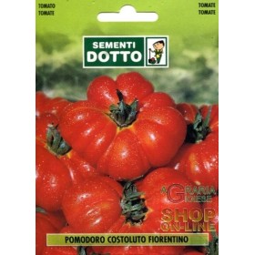 SEMI DI POMODORO PER INSALATA COSTOLUTO FIORENTINO SEMI DI POMODORO PER INSALATA COSTOLUTO FIORENTINO